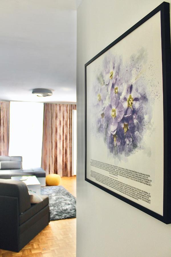 Apartmán Ramonda - New Bělehrad Exteriér fotografie